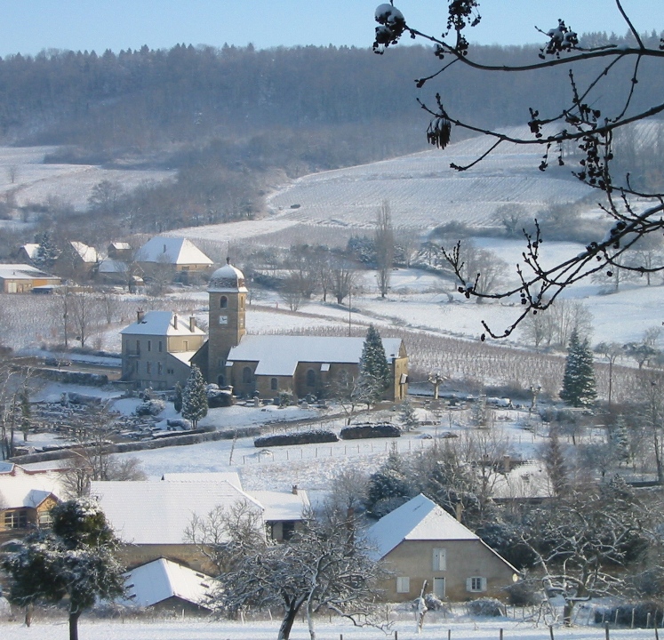 Jura - Etoile village and vineyards in the snow Jura vineyards in the snow