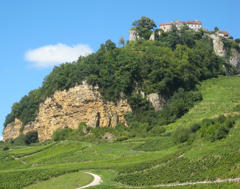 Château Chalon and its Jura vineyards