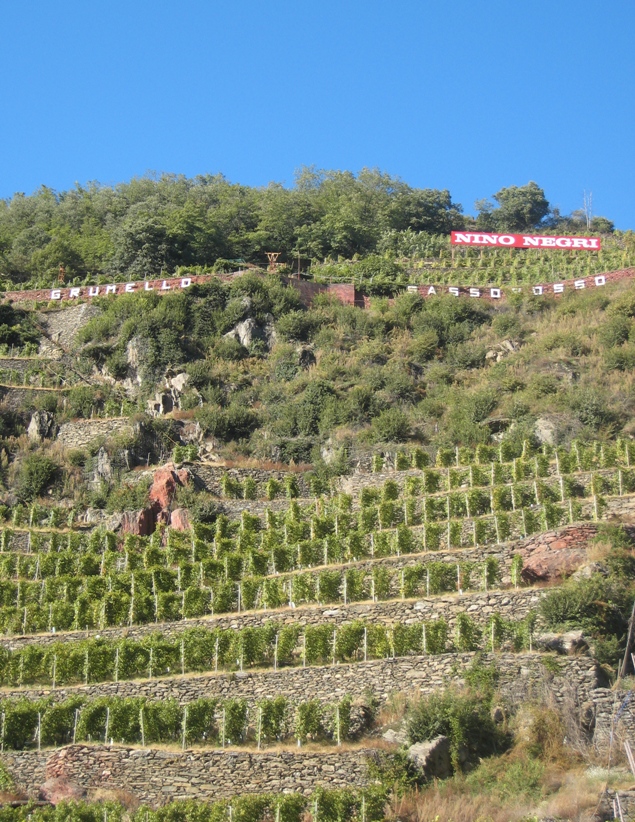 Trying to define Mountain Wines Trying to define Mountain Wines