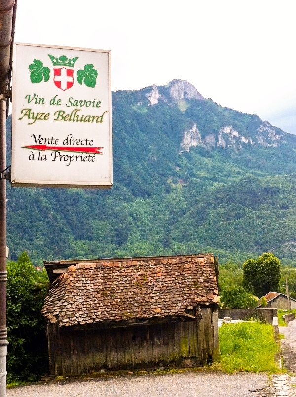 Homage to my neighbourhood Savoie vineyard Homage to my neighbourhood Savoie vineyard